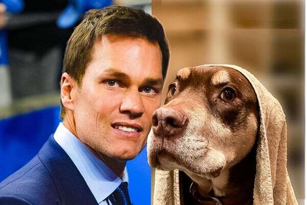 טום בריידי וכלבתו המנוחה לואה (לולו) , AP, עמוד האינסטגרם של ג'יזל בונדשן