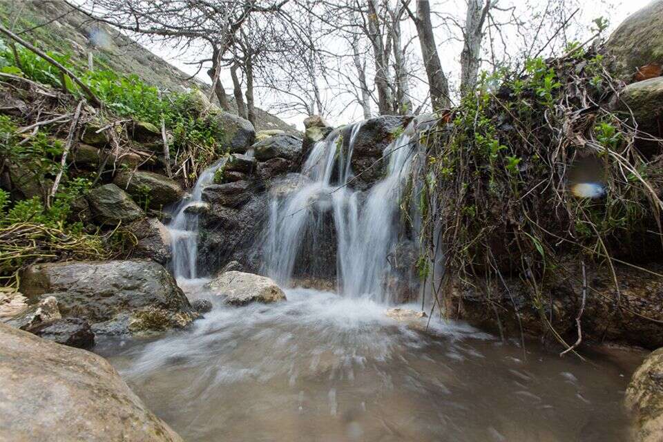 עין עלווה, ליד כרם בן זמרה , דרור ארצי