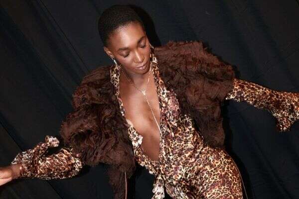 פיי ז'קיטה , דור קדמי