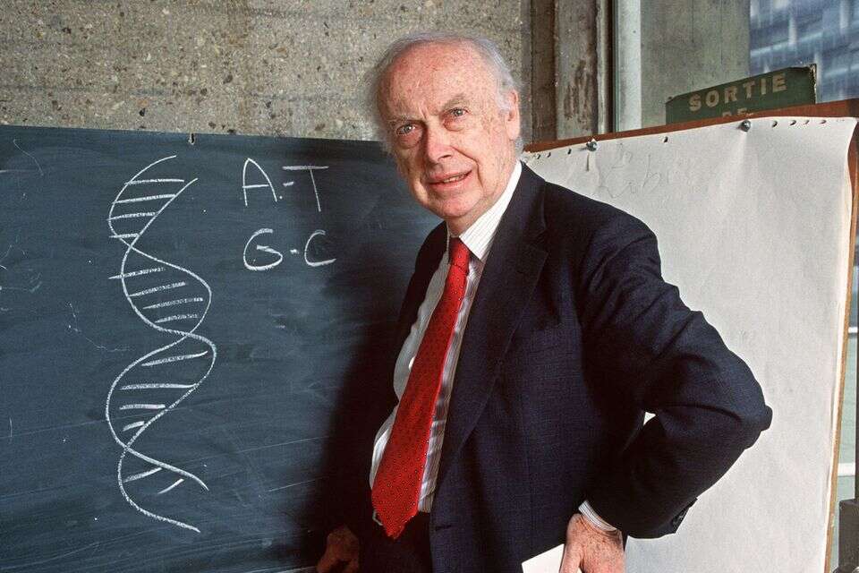 ג׳יימס ווטסון, מגלה מבנה הדנ"א וזוכה פרס נובל, הלך לעולמו בגיל 97