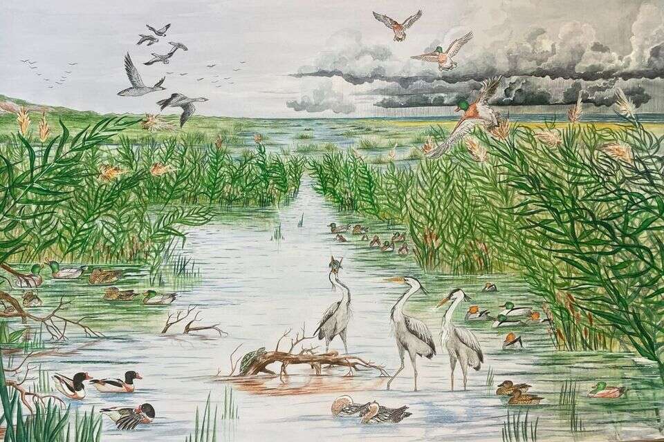 ציידי הברווזים מהכרמל: כך נראו אגמי החוף של ישראל לפני 15 אלף שנה