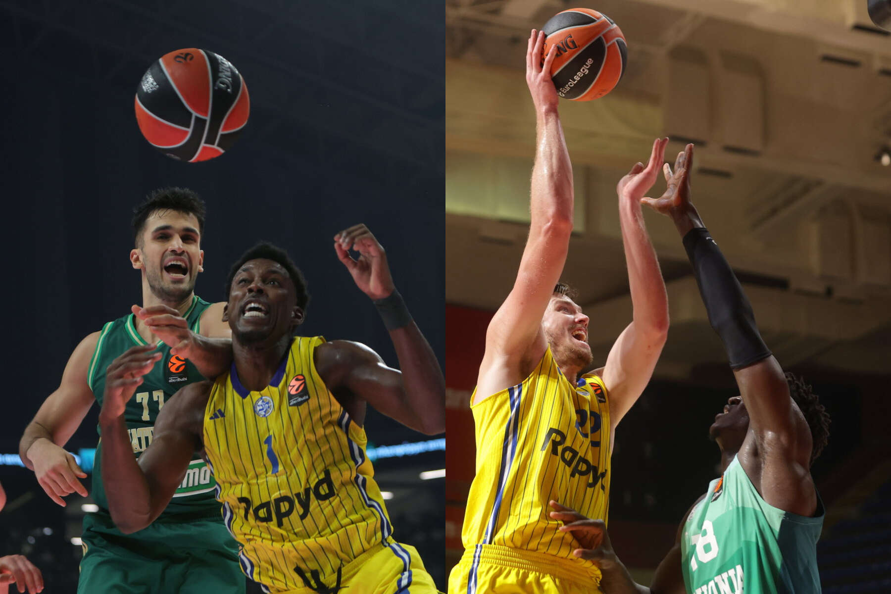 פנאתינייקוס מתכננת מחטף ממכבי תל אביב? "יש מרחב פעולה"