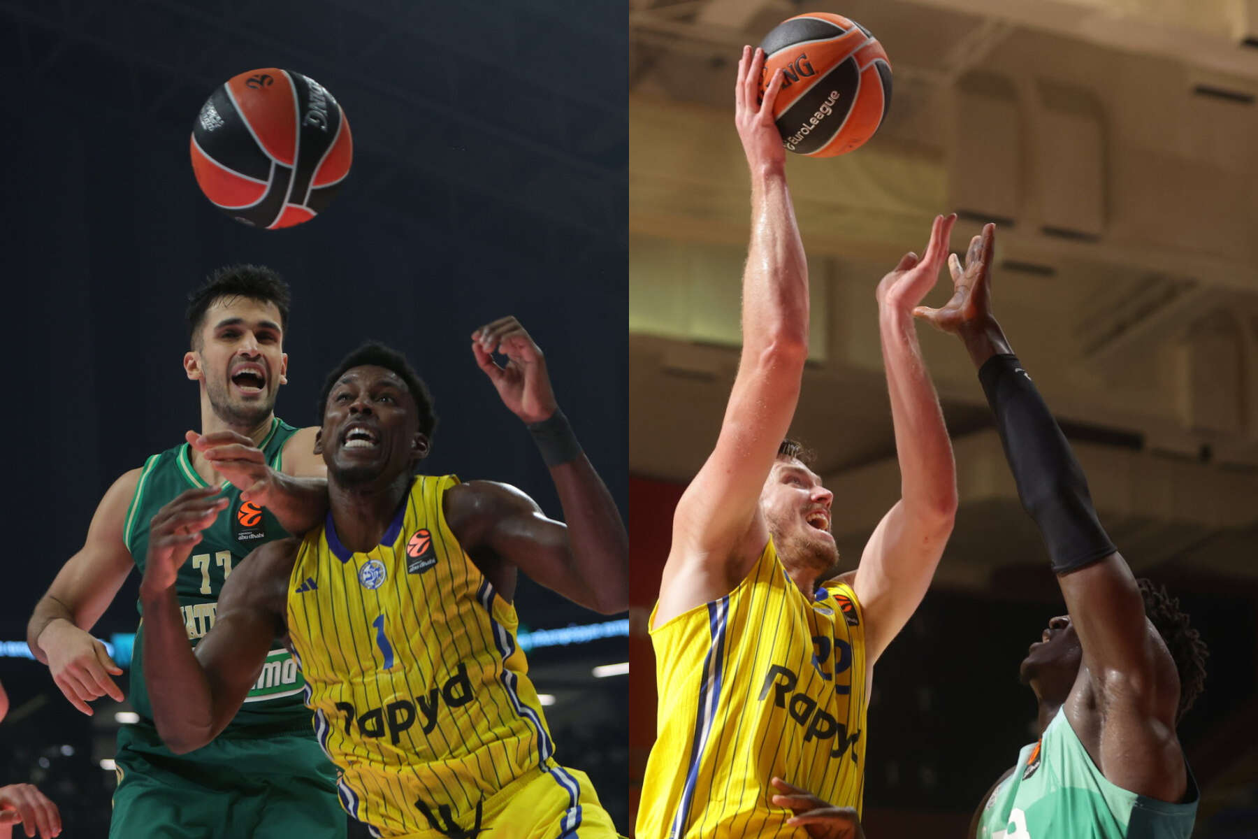 פנאתינייקוס מתכננת מחטף ממכבי תל אביב? "יש מרחב פעולה"