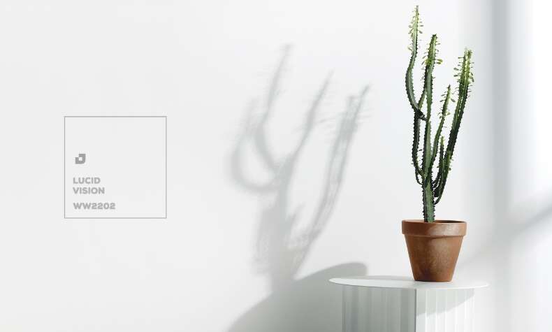 בלי להתחכם: זה צבע השנה של טמבור