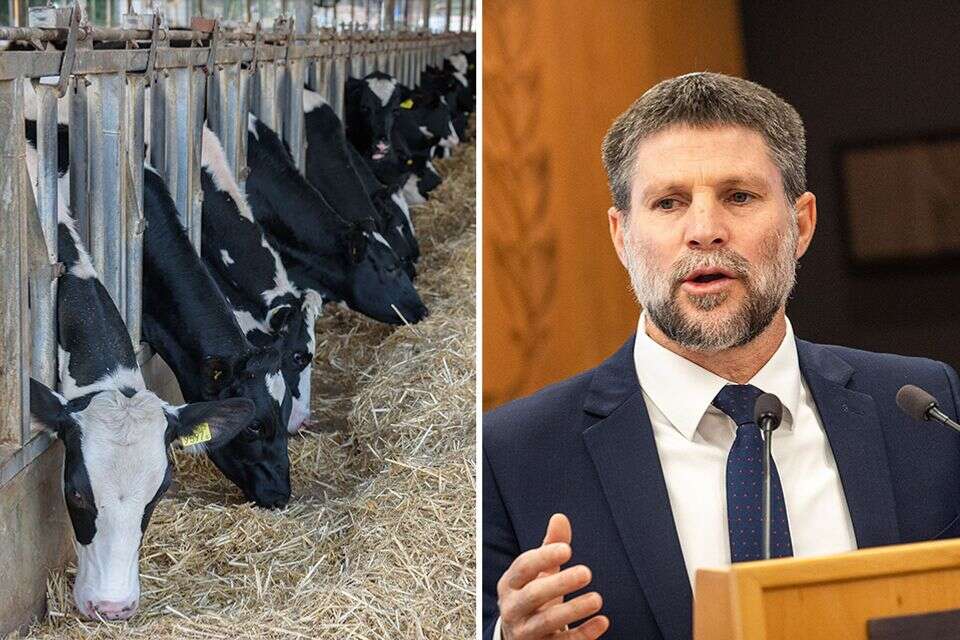 רפורמת החלב של סמוטריץ' , אורן בן חקון,
