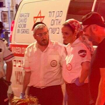 המעריצה התעלפה, רמי קלינשטיין נחלץ לעזרה