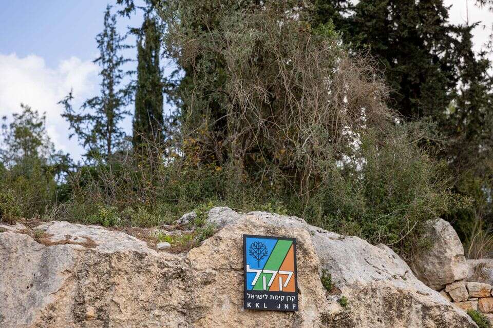 עודפים של מיליארדים. קק"ל , נעמה שטרן