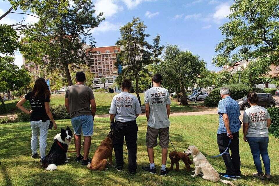 "כלב טוב": חיית המחמד שלך יכולה לקחת חלק במיזם חברתי חשוב
