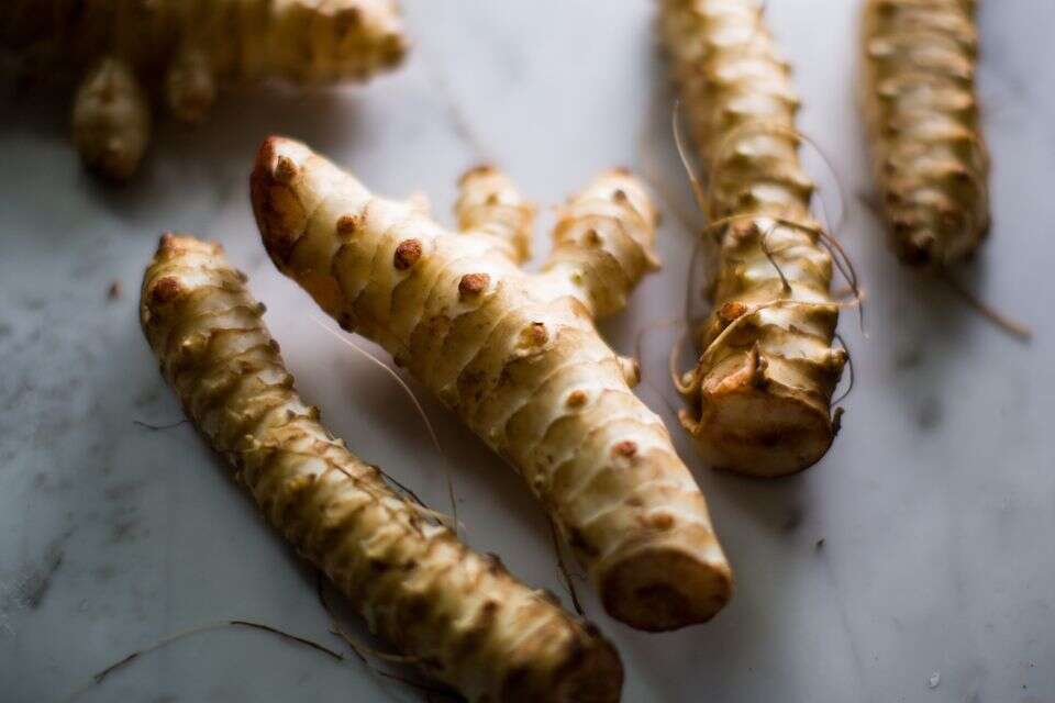 יותר שווה מתפו"א: זאת הדרך הכי טובה לבשל ארטישוק ירושלמי
