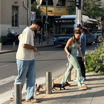 חן ושירז בטיול עם הכלבים