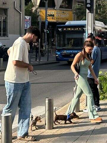 חן ושירז בטיול עם הכלבים