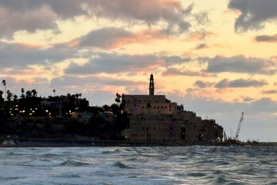יפו , אביטל פריד
