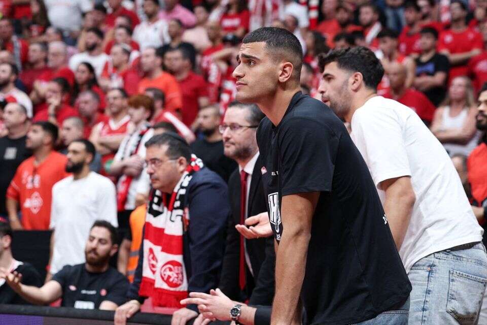 ים מדר , אלן שיבר