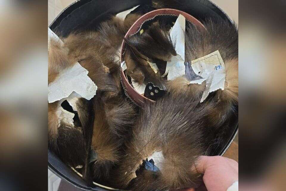 . , .