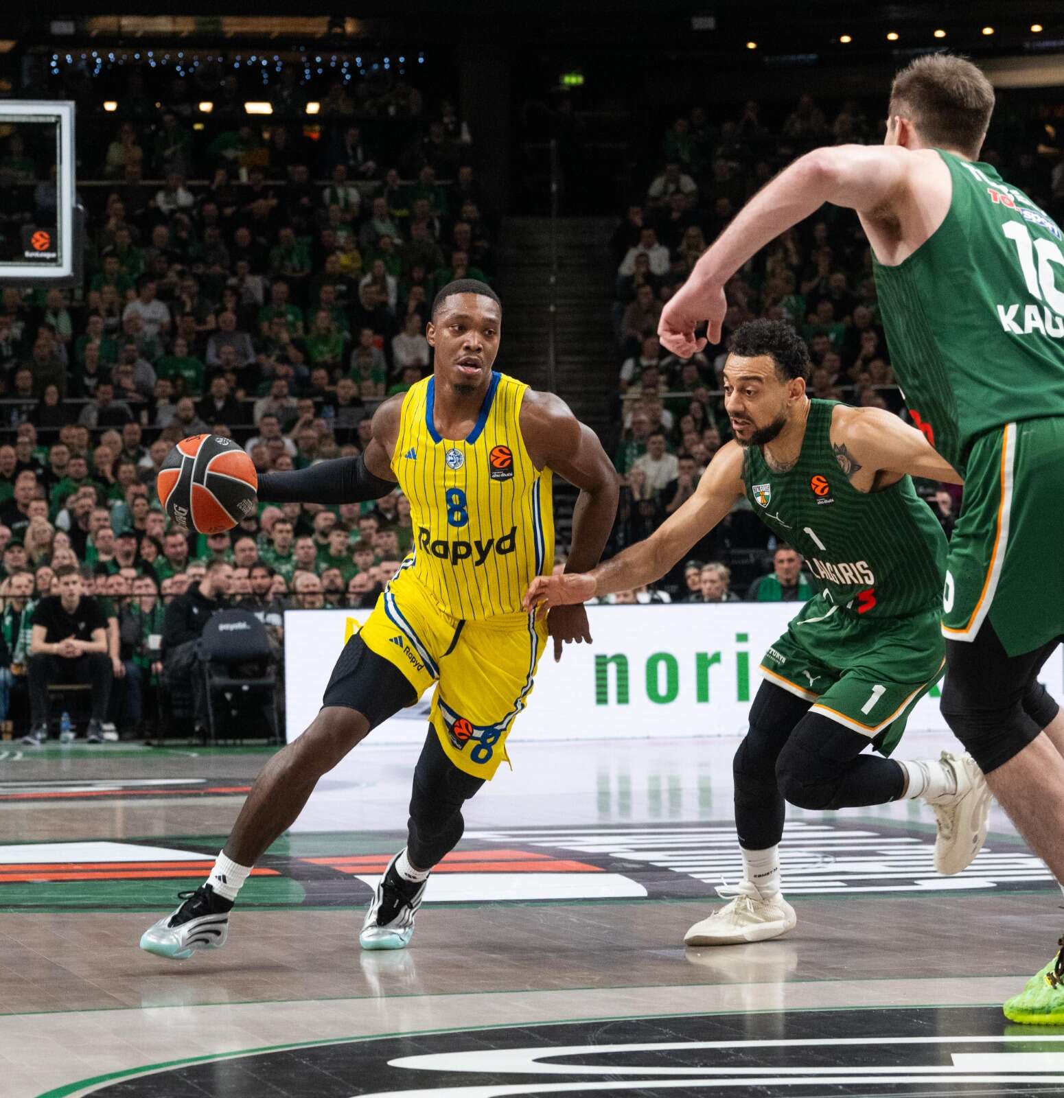 אפקט המאמן הנשאר: מכבי תל אביב הביסה 65:83 על ז'ליגיריס קובנה