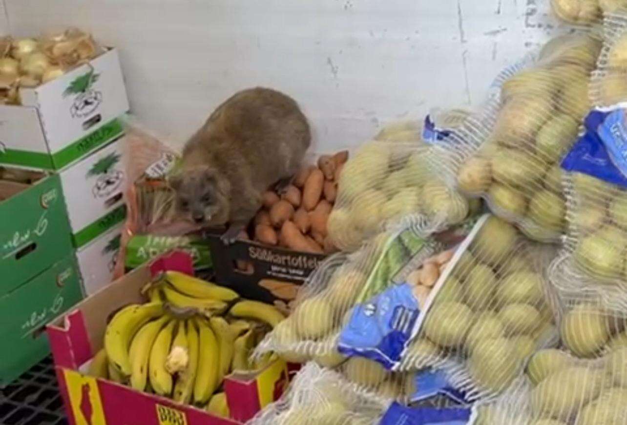 "צוחקים על הילדות שלנו": הורי החיילות מבסיס צנובר במתקפה נגד המפקדים