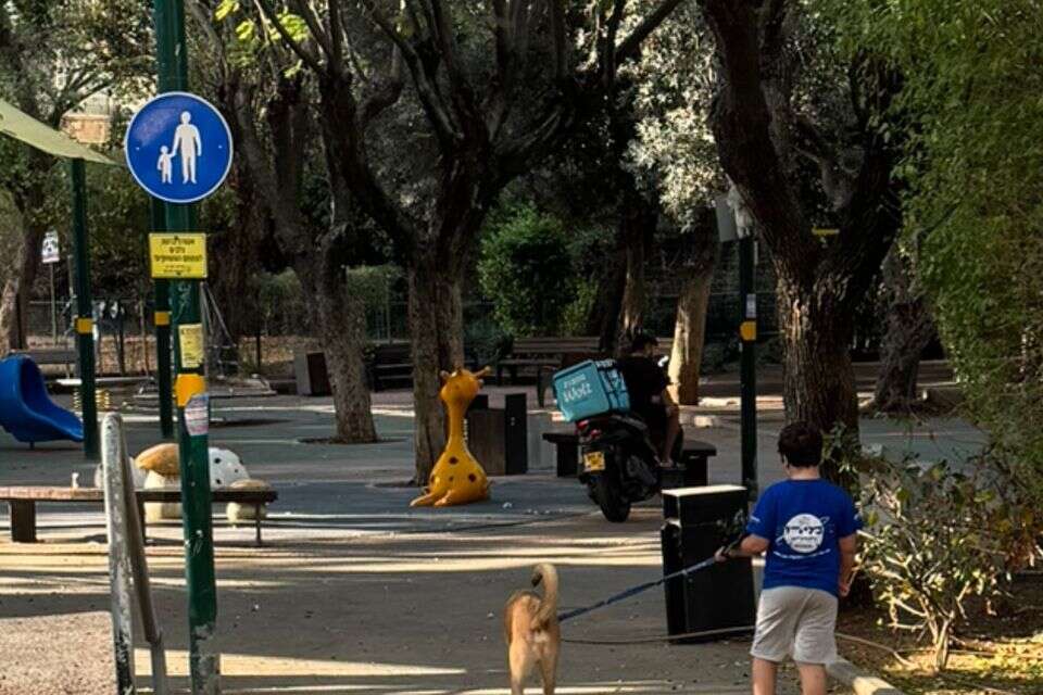 השליח של וולט אוכל את ההזמנה , 27א