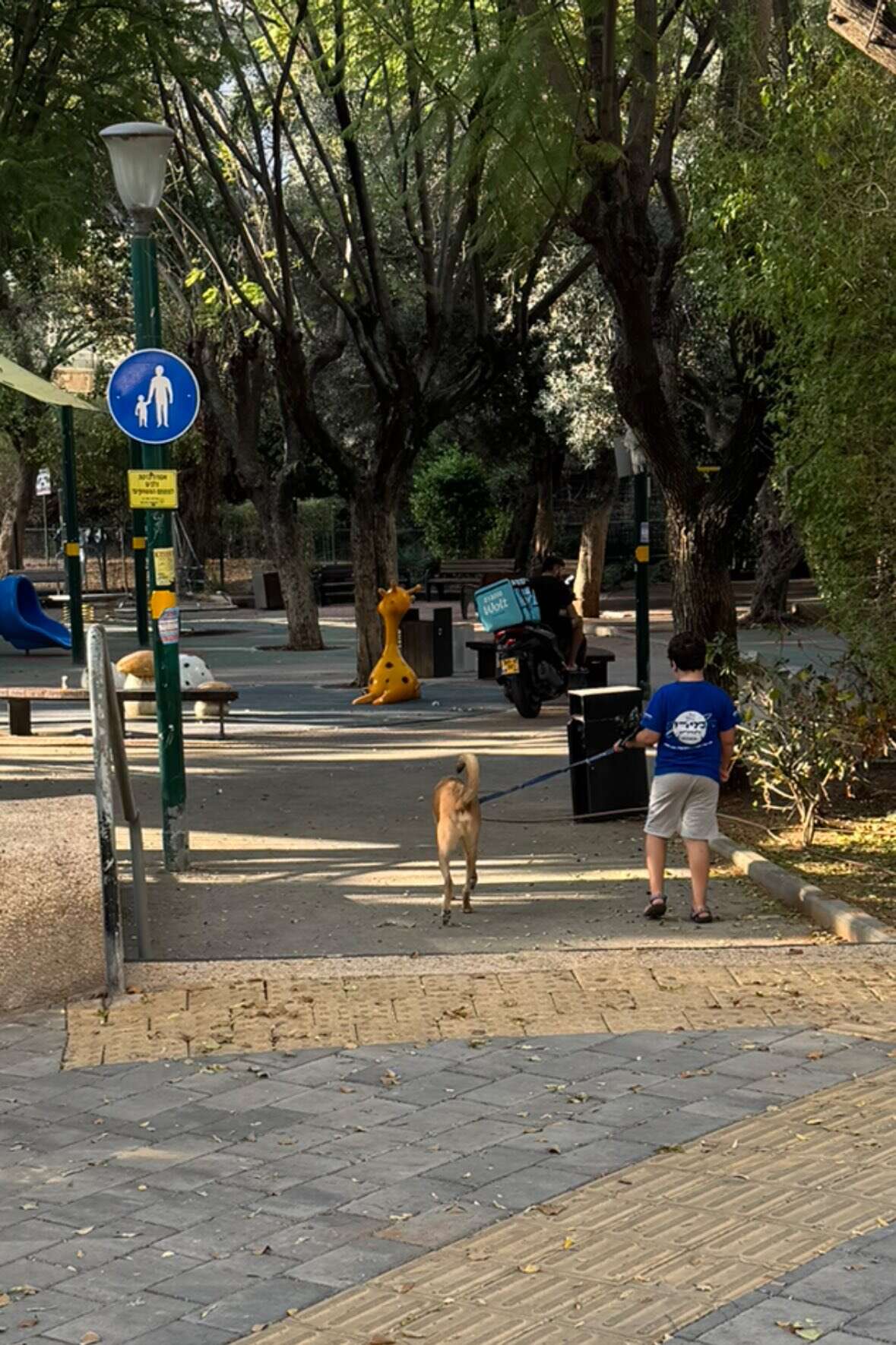 נתפס על חם: שליח וולט אכל את ההזמנה ושיקר שעשה תאונה | צפו