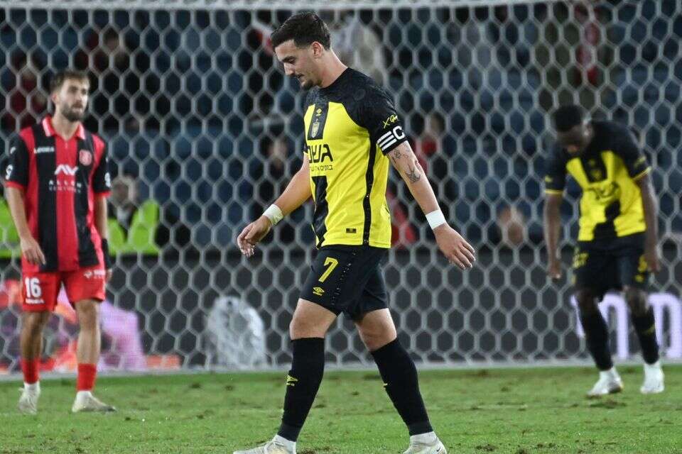 ירדן שועה , ברני ארדוב