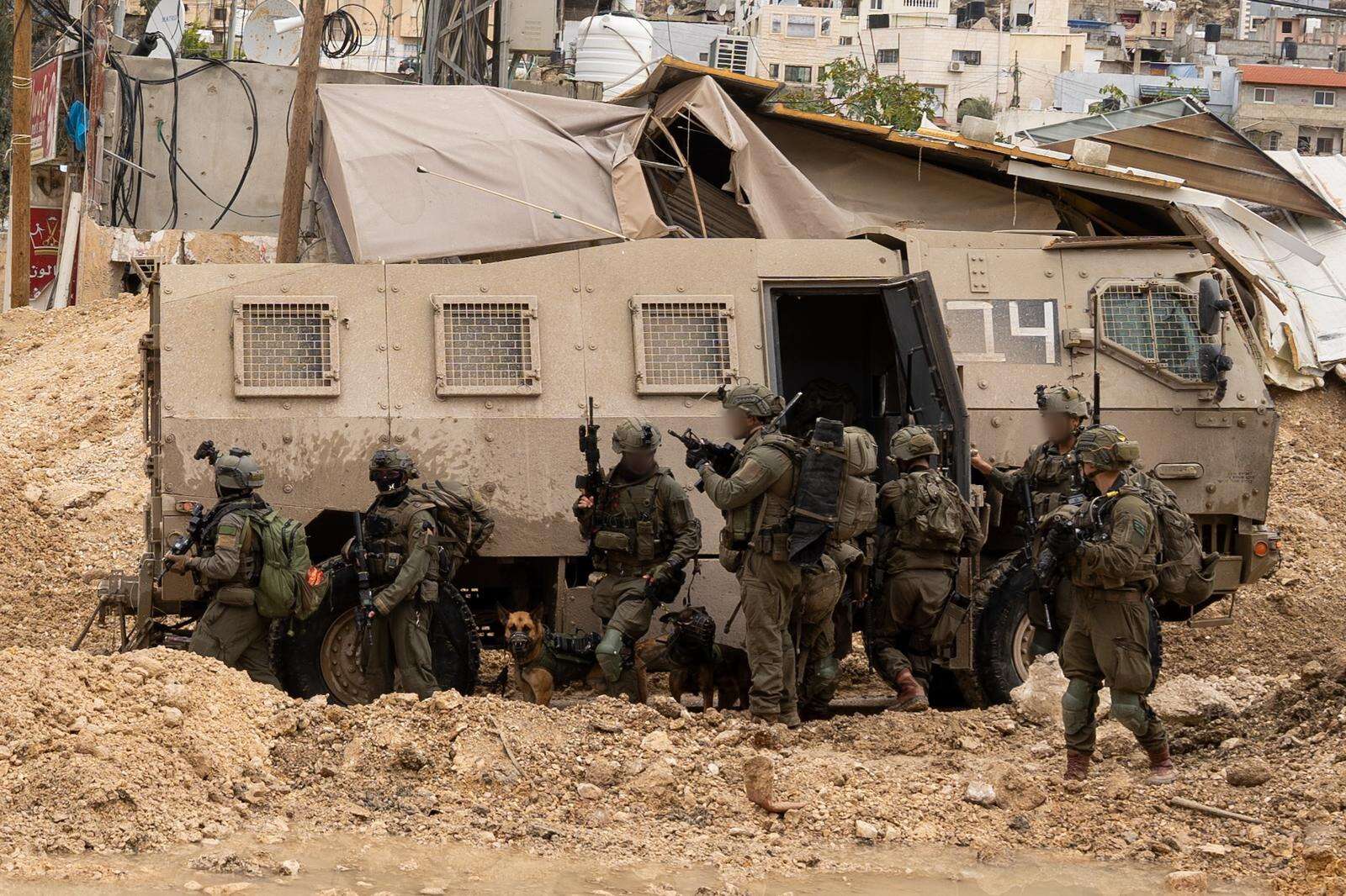 כוחות צה"ל פועלים במרחב טולכרם , דובר צה"ל