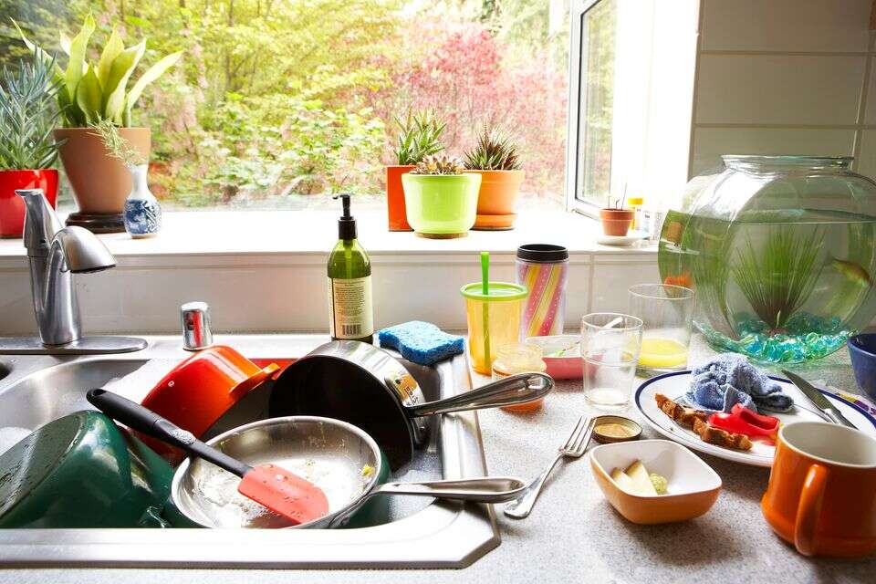 זאת הסיבה שאסור להשאיר כלים בכיור בלילה