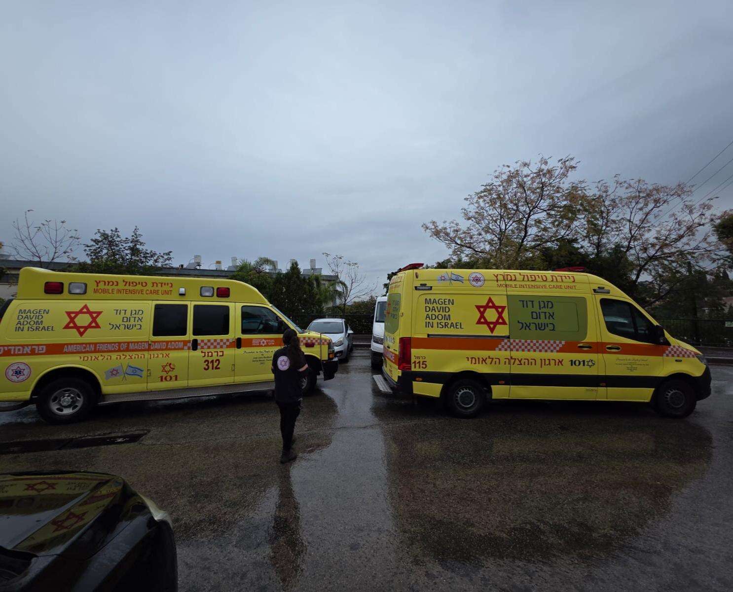 האירוע המזעזע ביקנעם עילית: חשד כי האם התאבדה והבן נרצח