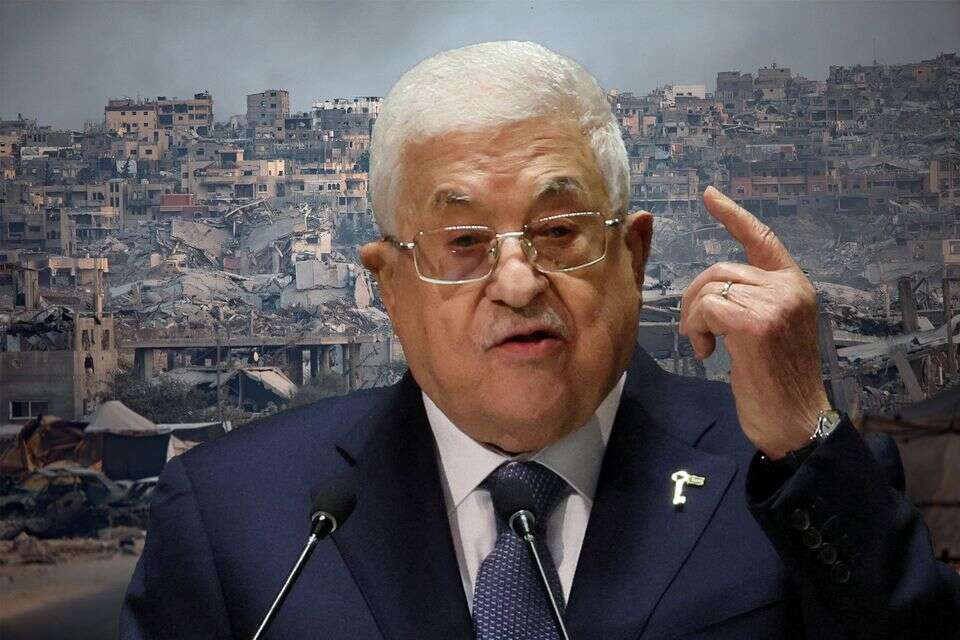 A war of consciousness: a seal for Palestine is scouting