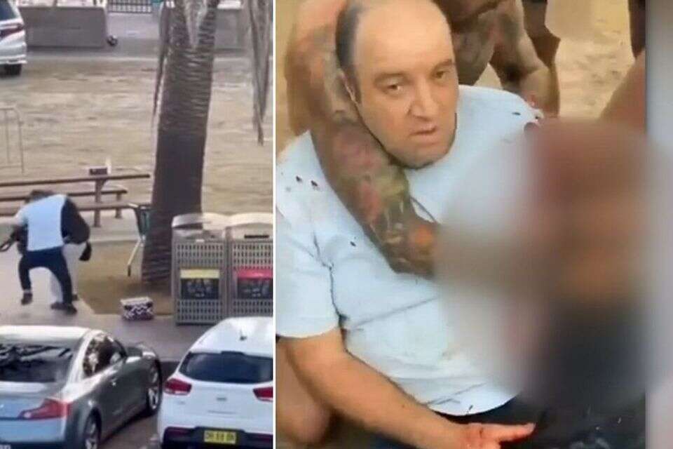 אחמד אל אחמד, גיבור הירי בסידני , רשתות חברתיות