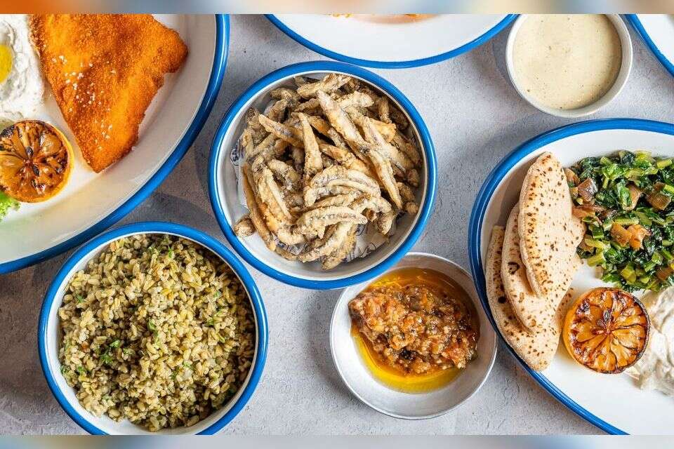 SALT, סטריט פוד שף מהים , דוד מויאל
