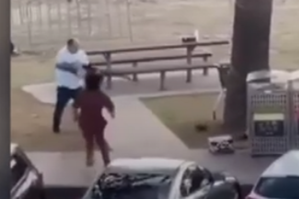 גפן ביטון מסתער על המחבל בפיגוע בסידני , רשתות חברתיות