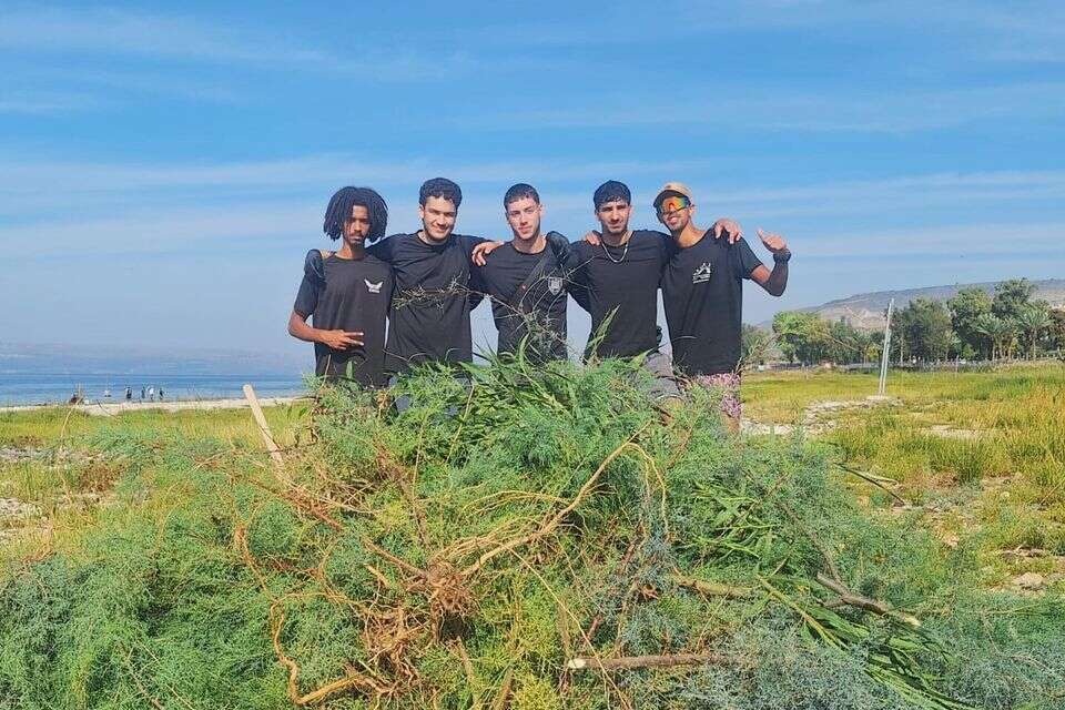 חניכי המכינה הקדם צבאית שחר-חוקוק - פועלים להסרת מינים פולשים ברצועת תנודות המפלס של הכינרת , אושרי בן דור, איגוד ערים כינרת