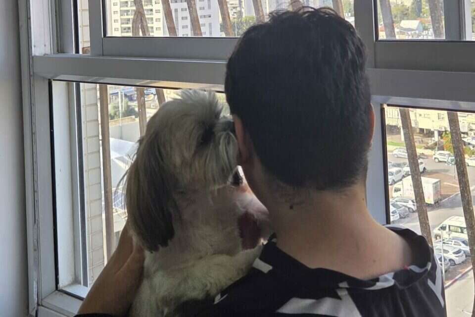 "זה היה סיוט, אבל אף אחד מבית הספר לא טיפל בזה באמת". דוד וכלבתו , .