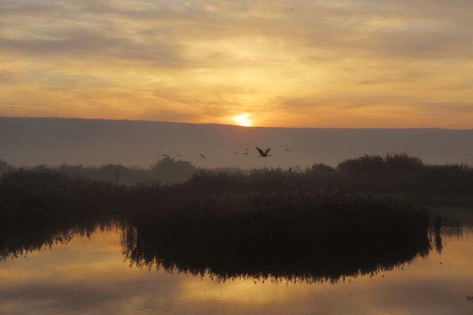עונת הנדידה הסתיימה, אבל עונת החריפה רק התחילה