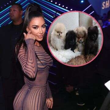 המתנה של אמא קרדשיאן: פומרניאן קנוי לכל ילד