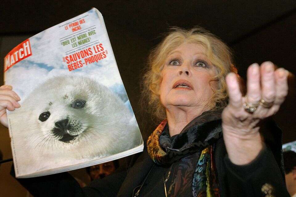 הקשר המפתיע בין בריז'יט בארדו לקמפיין הפרסום הישראלי