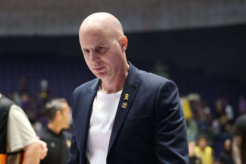דני פרנקו , אלן שיבר