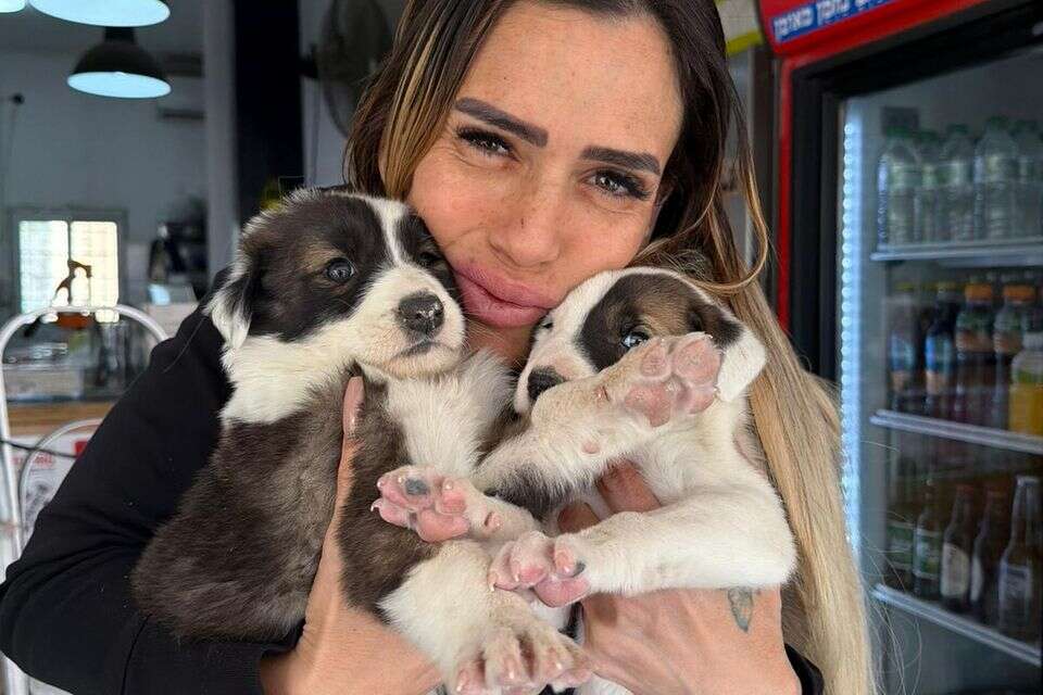 בת אל לוי. עושה מצווה, עכשיו תורכם לסייע , ללא