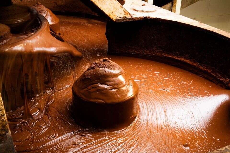 טקס עם פרה: סודות השוקולד המצליח נחשפו