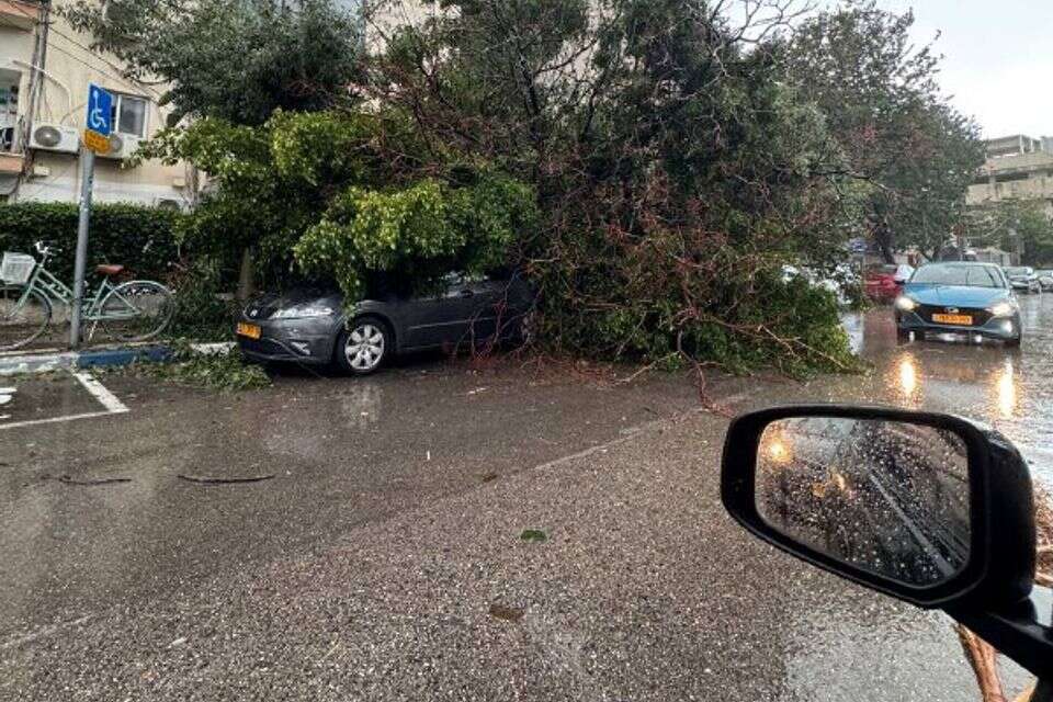 קריסת עץ ברחוב ירמיהו בתל אביב, 9 בינואר 2026 , ללא