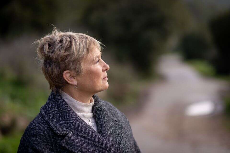 איריס חיים: 