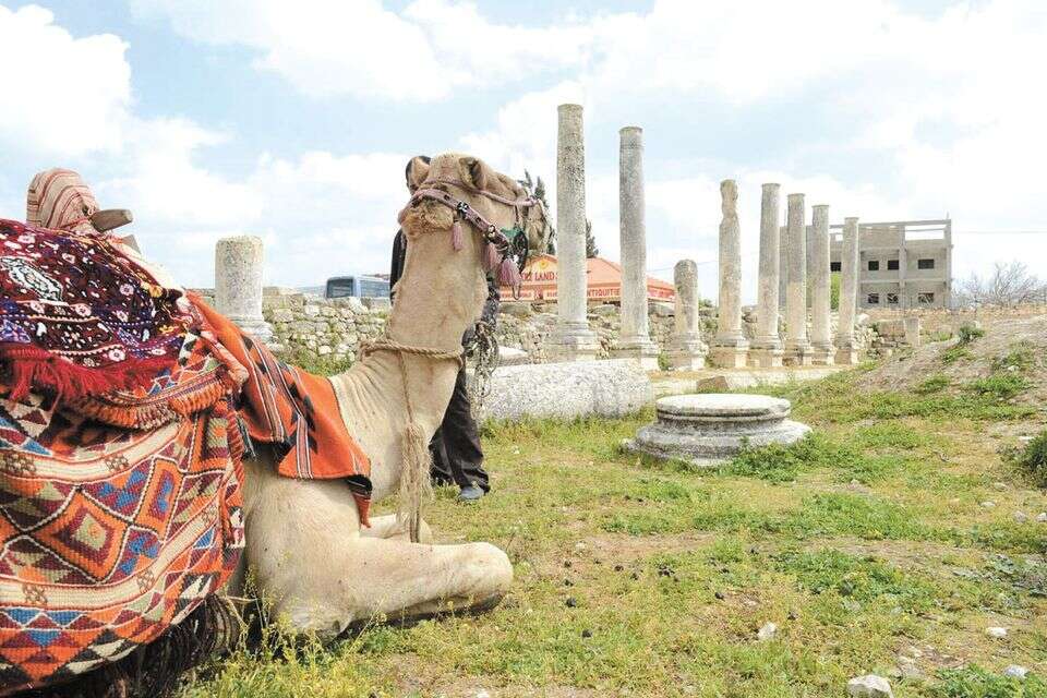 גן לאומי סבסטיה בשומרון , תיירות שומרון