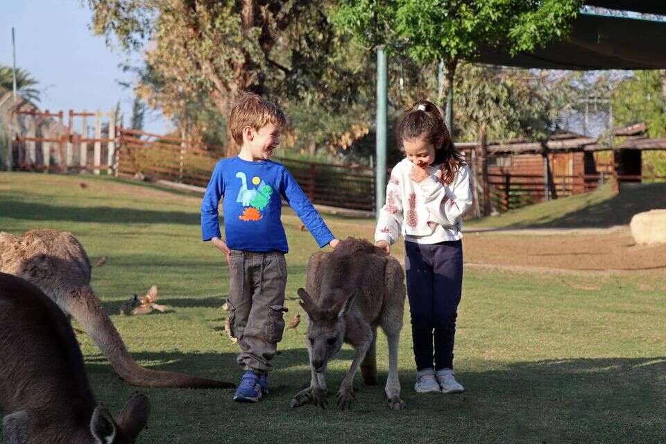 5 סיבות טובות להגיע לצפון עם כל המשפחה