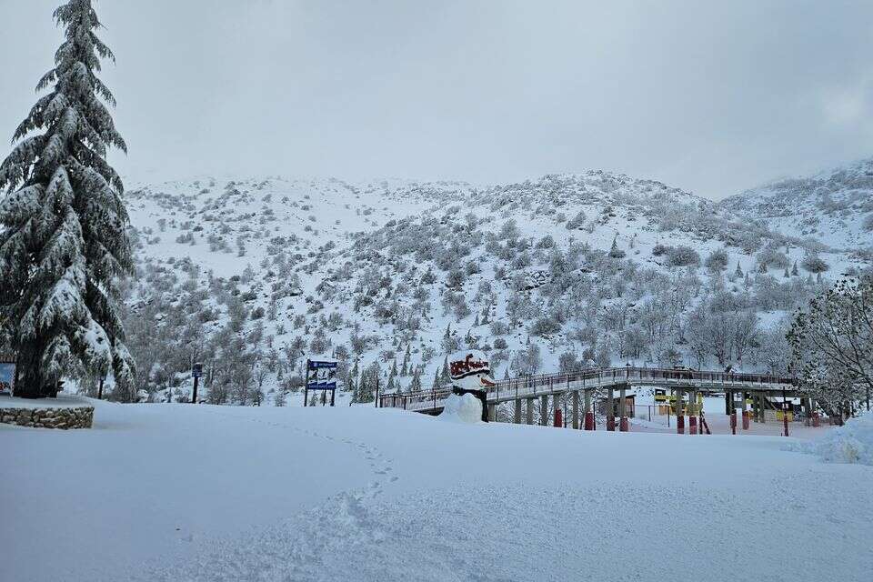 Winter is back - and the snow has painted Hermon white watch