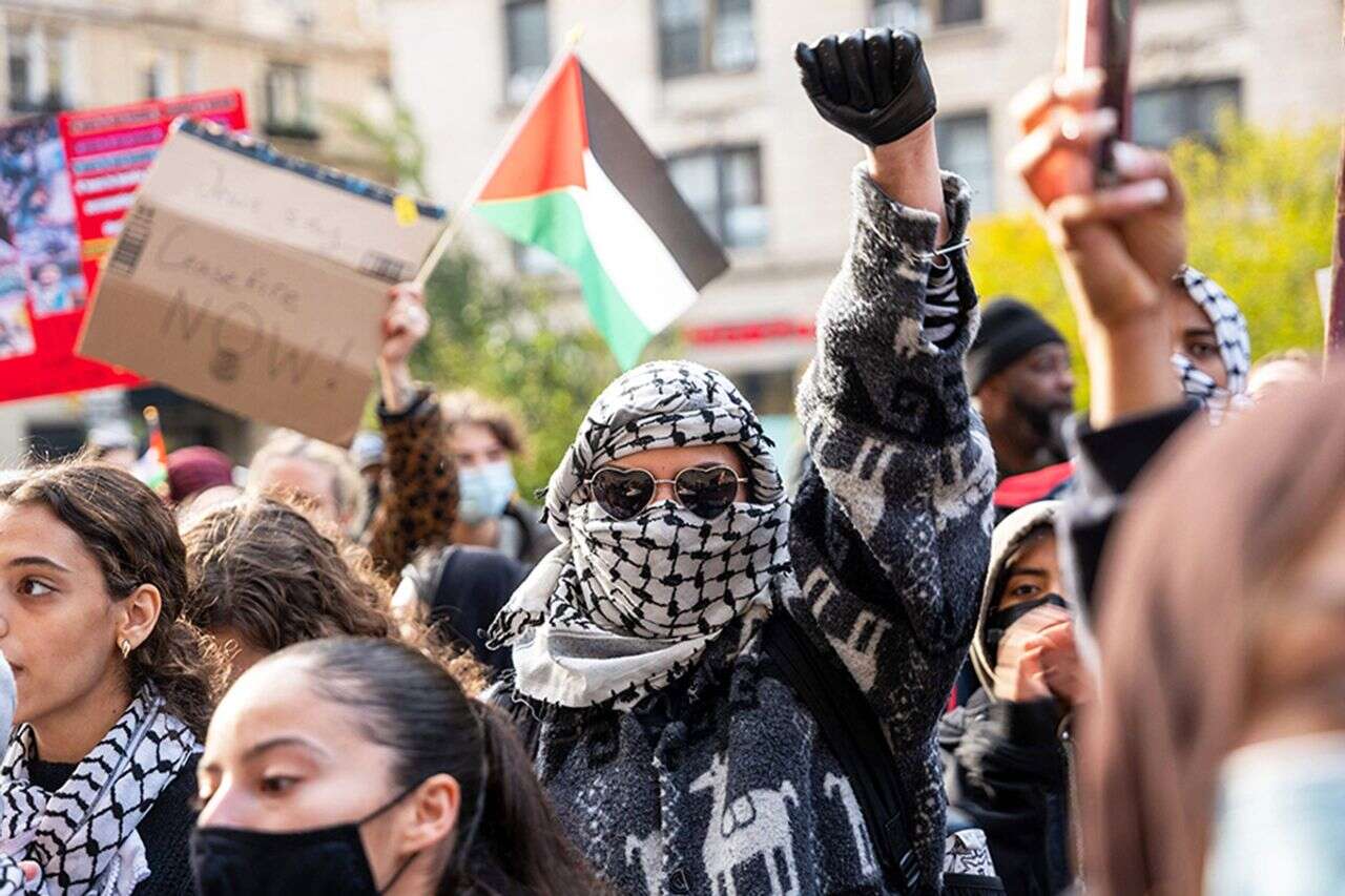 Storm at the prestigious university: the president hit a pro-Palestinian protester with his car