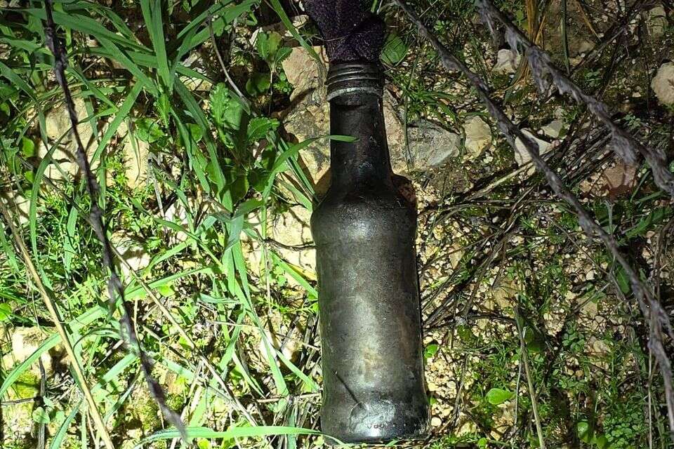 אביו של אליקים ליבמן ז