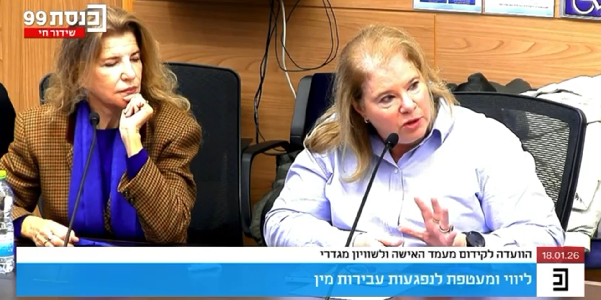 הוועדה לקידום מעמד האישה ולשוויון מגדרי , ערוץ הכנסת