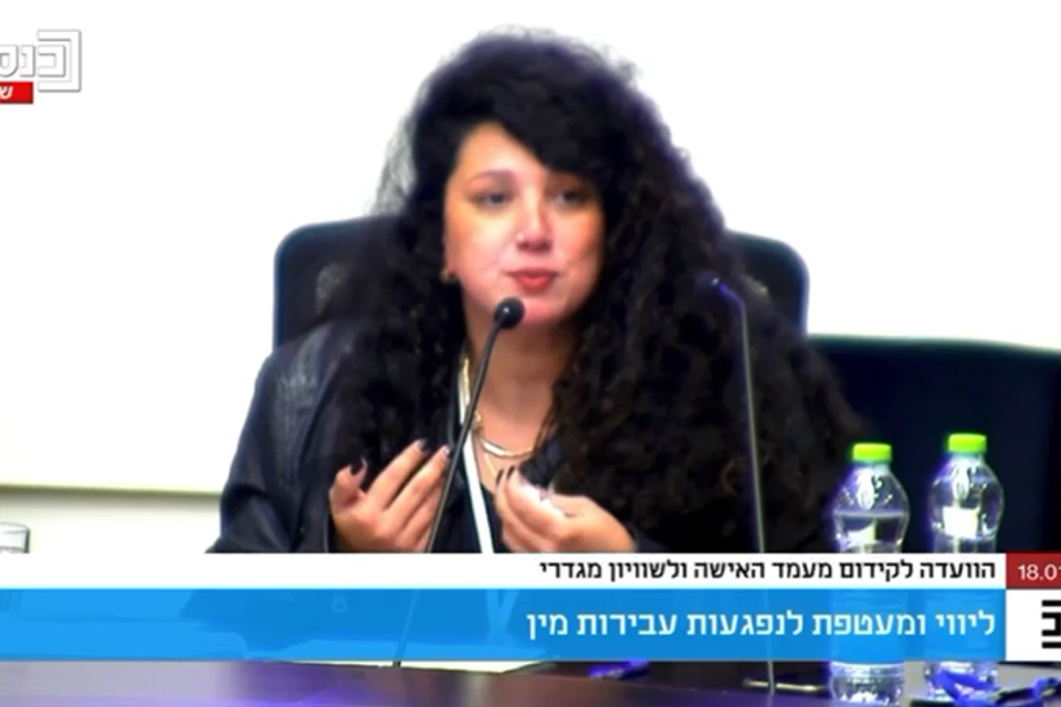 שי לי עטרי בועדה לקידום האישה , ועדת הכנסת