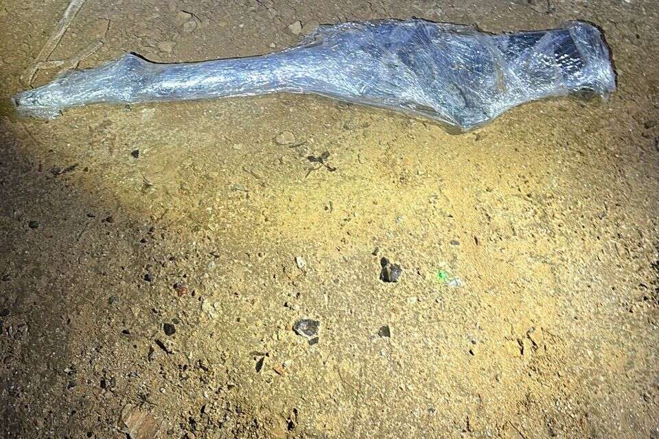 הנשק שנזרק מרכבו של הנהג , דוברות המשטרה
