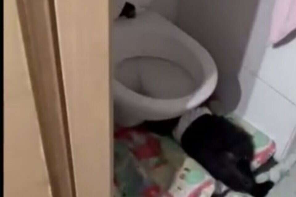 המעון הפיראטי שבו התרחש האסון בירושלים , ללא
