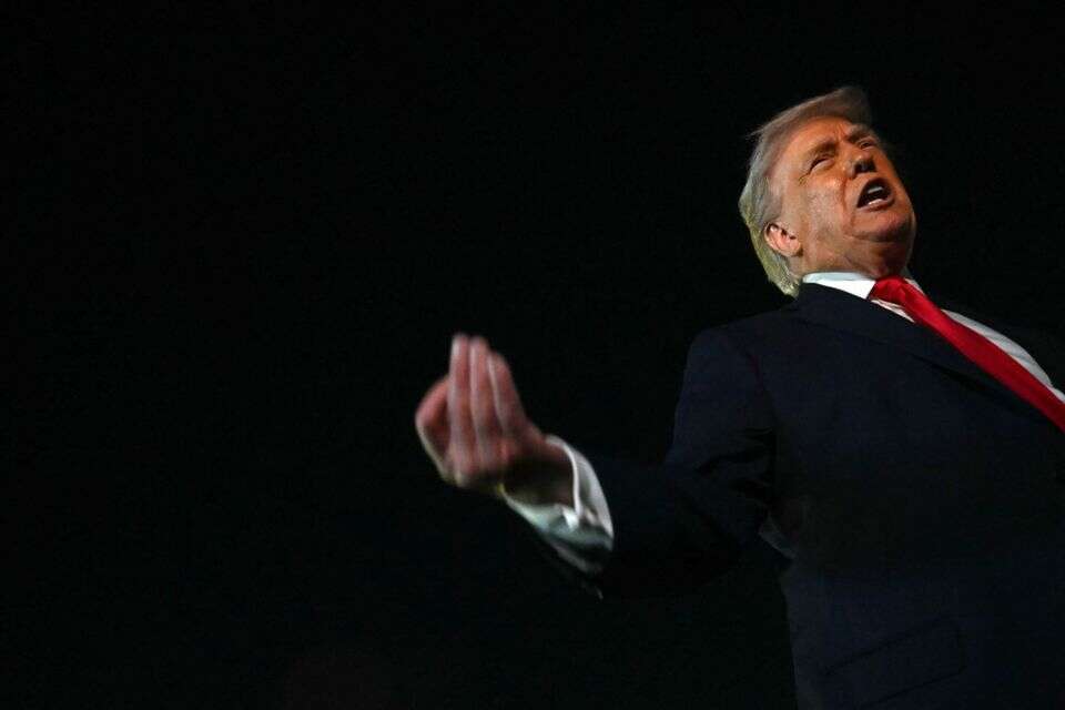 נשיא ארה"ב דונלד טראמפ , אי.אף.פי